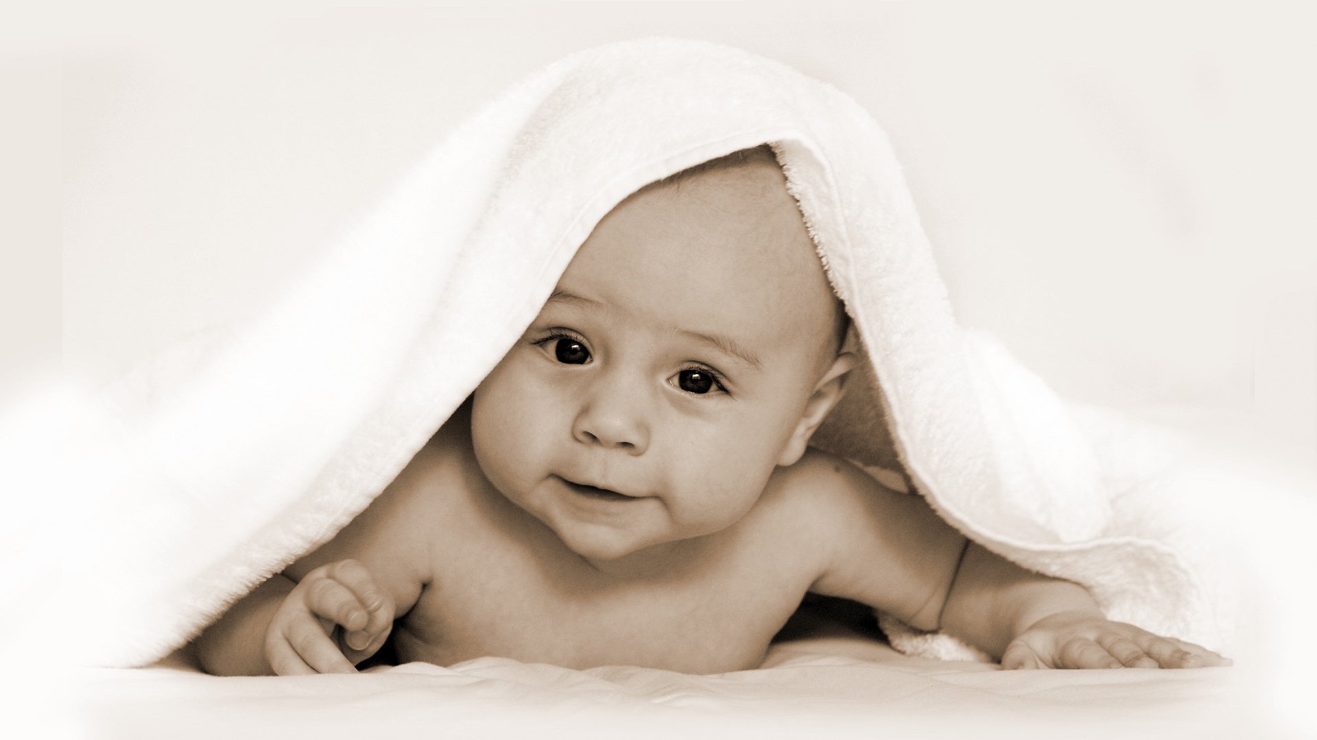 酒泉捐卵自怀试管婴儿促排卵泡标准
